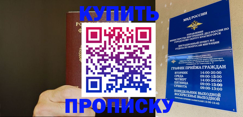 прописка поиск в Королёве